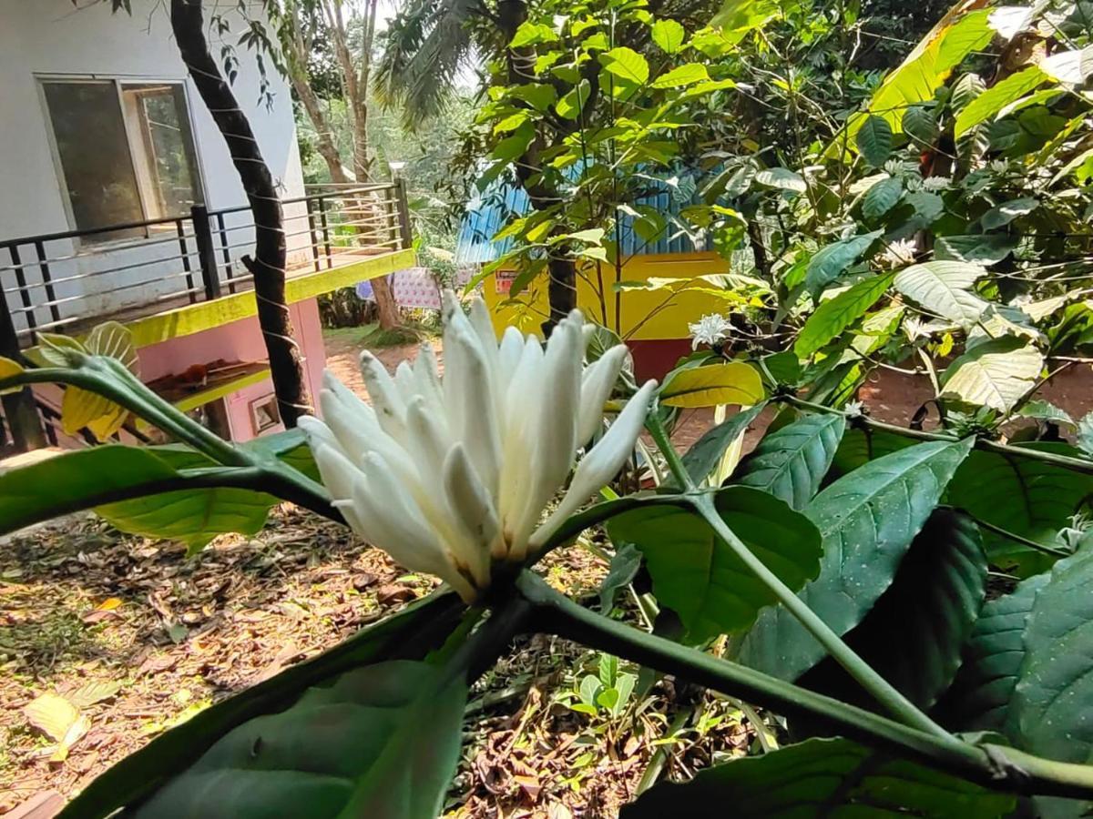 Green Land Estate Homestay 5 Rooms With Garden View 마디케리 외부 사진